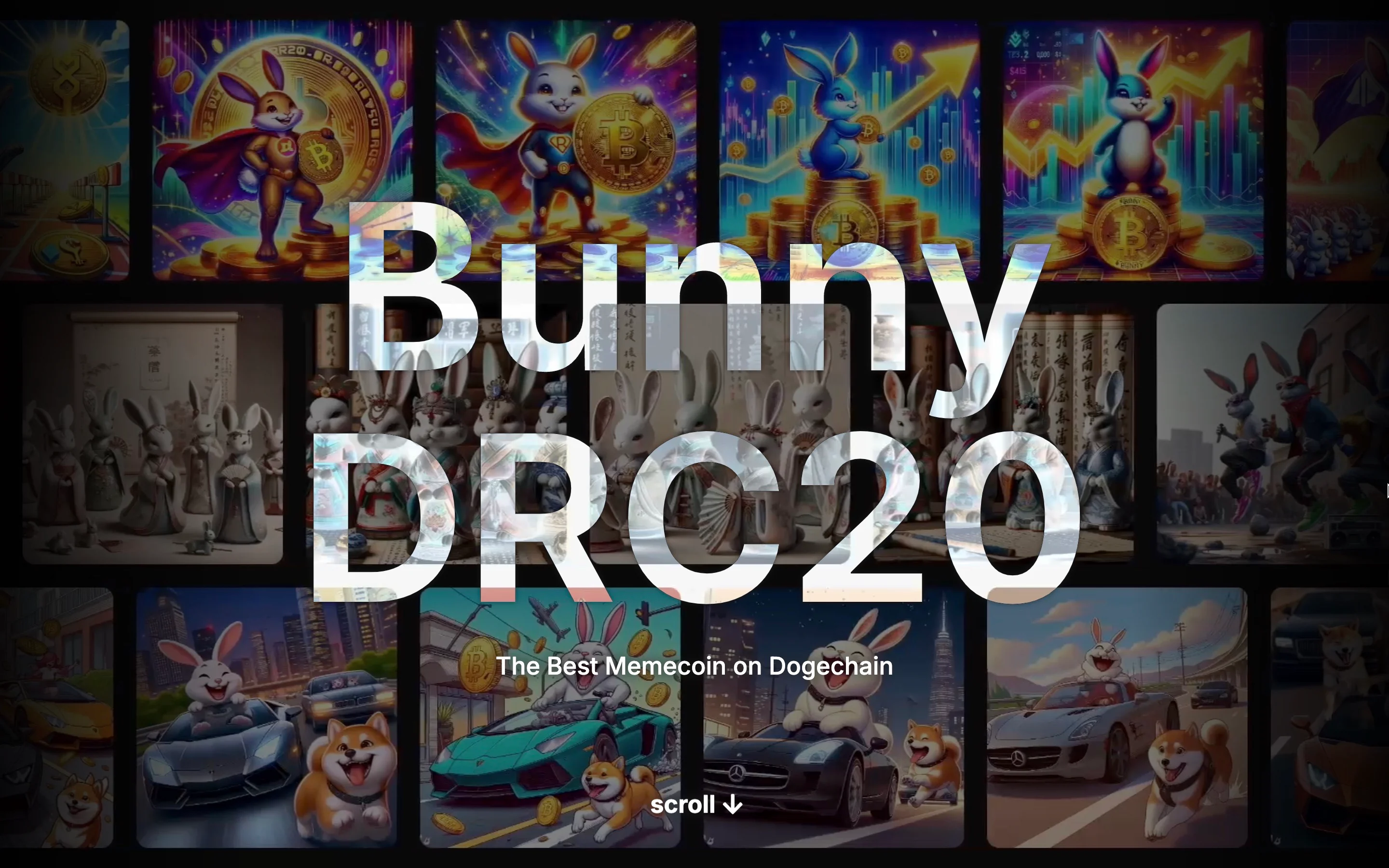 Bunny DRC20 — NFT project by Intuito Studio